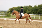 SBM_005353
