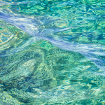 RIPPLES, GEORGIAN BAY, 2015