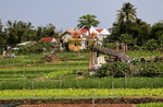 VIET_0443