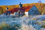 Autumn scene 2