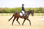 SBM_007372