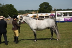 SBM_07632