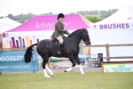 SBM_11059