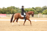 SBM_006452