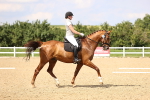 SBM_002214