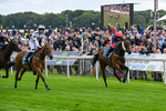 130626-Race 1-Dunkeld Dreamer-0534