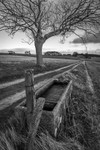 Day 9 - Stone Drinking Trough