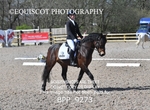 BPP_9273