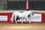 SBM_02930