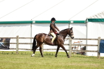 SBM_15769