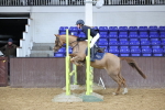 SBM_001446