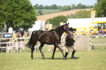 SBM_09263