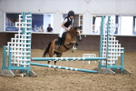 SBM_000564