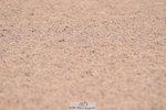 230720A-095350-01490