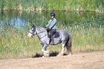 WJ7_7466