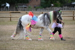 WJ6_8831