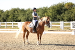 SBM_007713