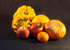 Fruits of Autumn