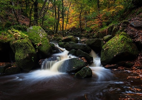 [size=11][b]Padley Gorge, Peak District[/b][/size]

Whilst visiting the Peak District for a few days in October 202…