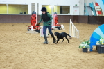 SBM_002382