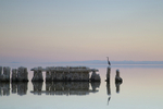 American landscape Salton Sea