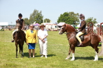 SBM_15816