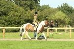 SBM_67397