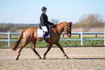 SBM_003351