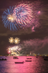 z3272 Seaview Regatta Fireworks