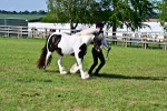 SBM_10109