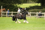 SBM_71692