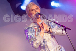 The Bowie Experience-1