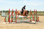 SBM_005431