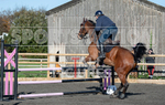 Senior Showjumping_10-11-2019-40