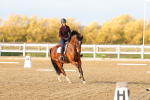 SBM_001145