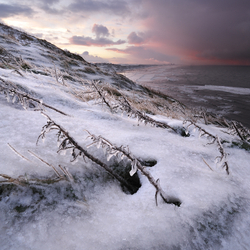 Saltburn By The Sea portfolio