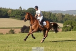 Rider 180 to 189 portfolio
