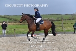 BPP_1433