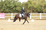 SBM_002645