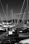 Marina (Sausalito) #4