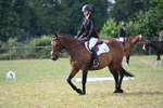 WJ6_5667