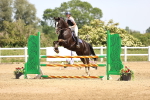 SBM_004238