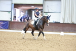 SBM_006066