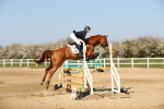 SBM_001087