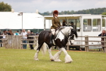 SBM_06208