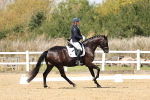 SBM_018613