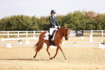SBM_016916