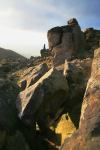 WAINSTONES, NR BILSDALE HELMSL