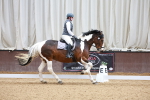 SBM_009450