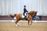 SBM_008989